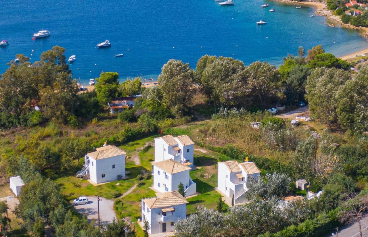 Kolios Kleopatra Villas - Seaside Suites מראה חיצוני תמונה